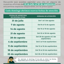 Infografía 6