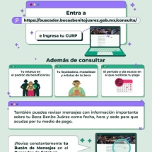 Infografía 7