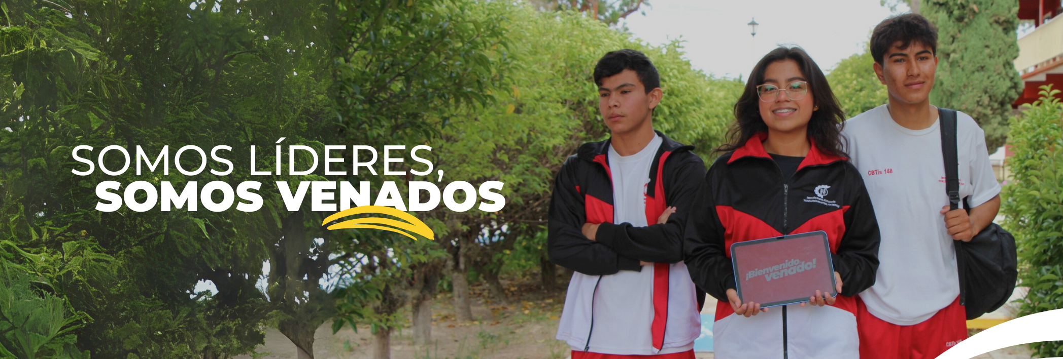 Imagen 2